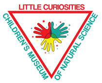 Little Curiosities Children's Museum of Natural Science